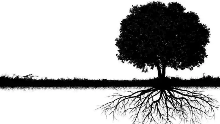 Keltski horoskop