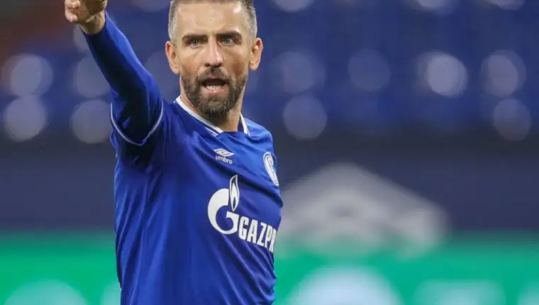 Vedad ibisevic