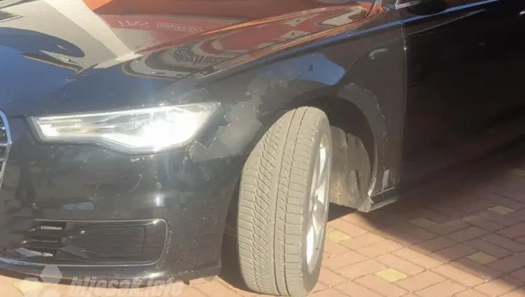 Dodik audi