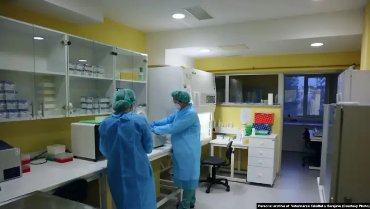 Virus istrazivanja