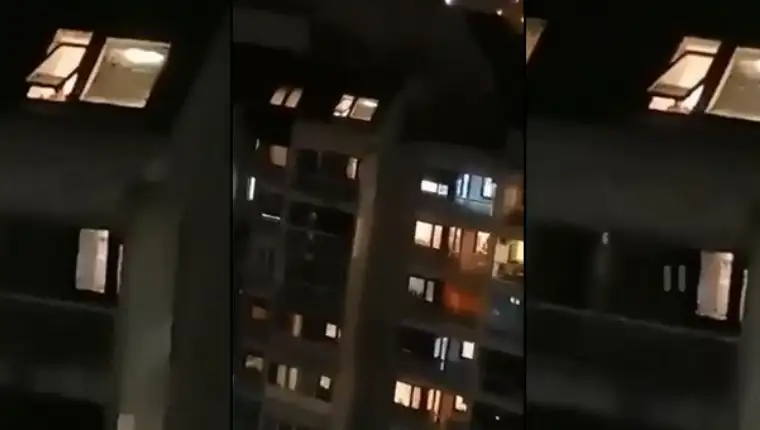 Tuzla noz zica