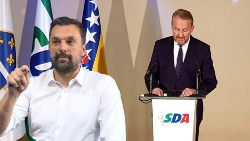 Dino bakir