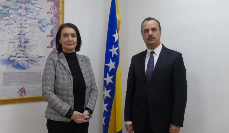 Tadic ambasaro