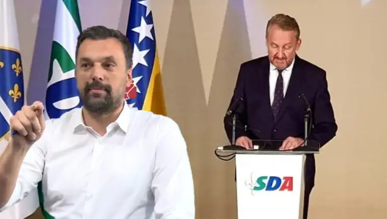 Dino bakir
