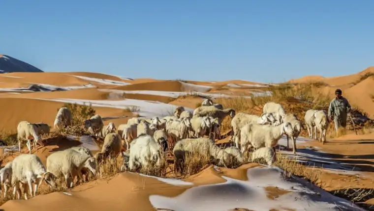Snijeg sahara