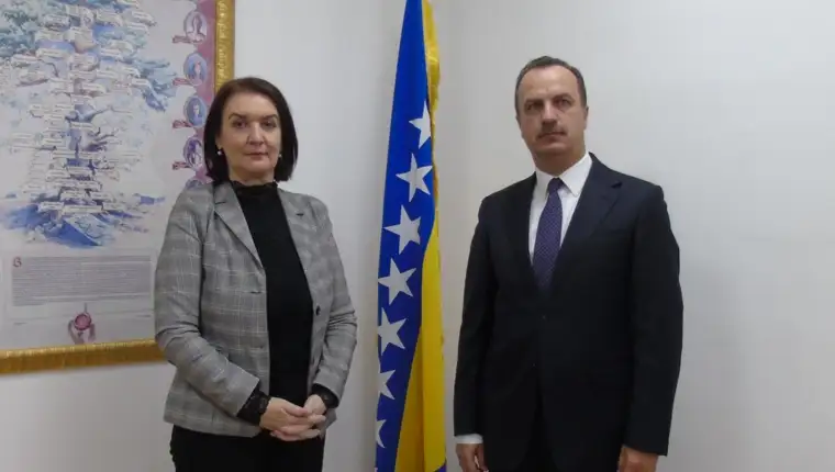 Tadic ambasaro
