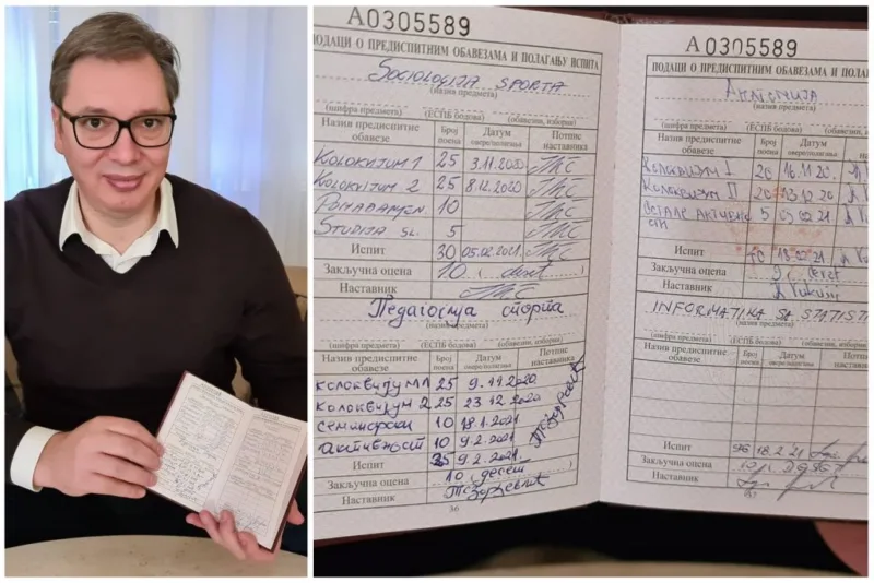 Vucic index