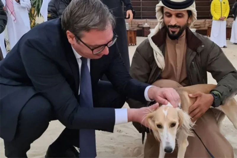 Vucic bahrein