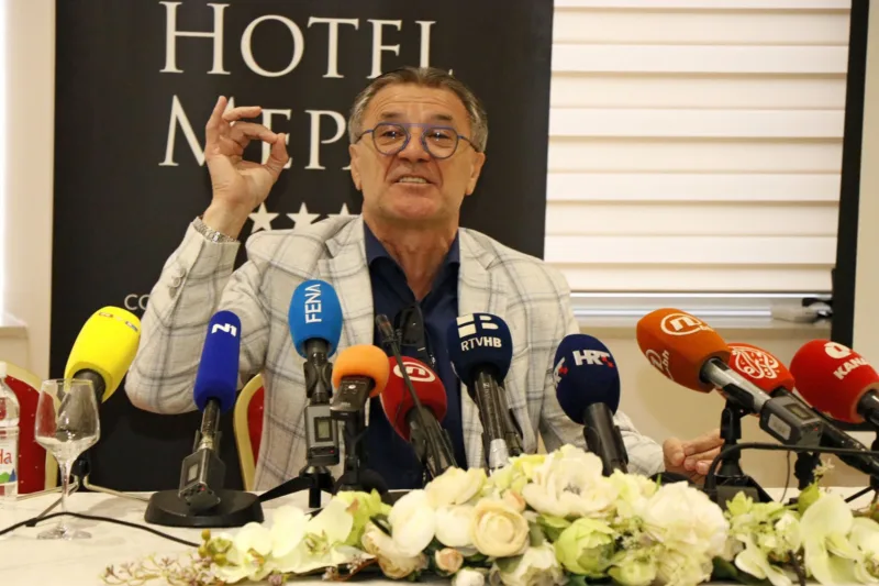 Zdravko mamic fena