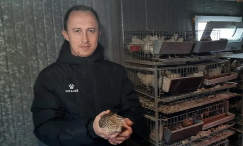 Adnan ibrahimovic prepelice