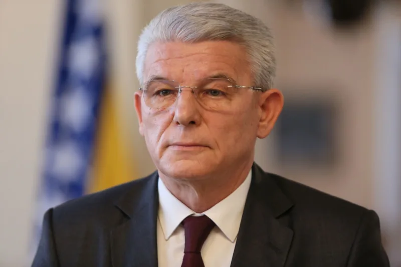 sefik dzaferovic fena4