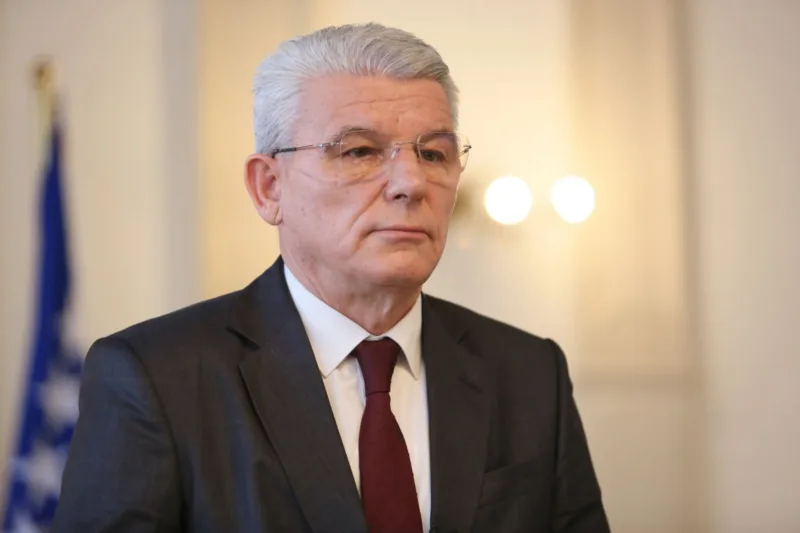 sefik dzaferovic fena2