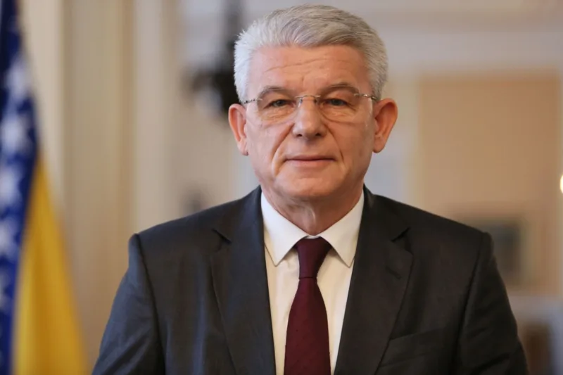 sefik dzaferovic fena3