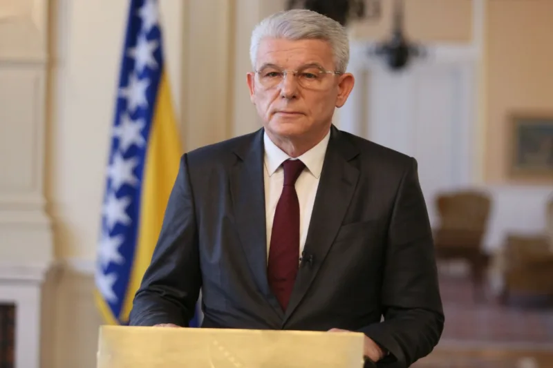 sefik dzaferovic fena1