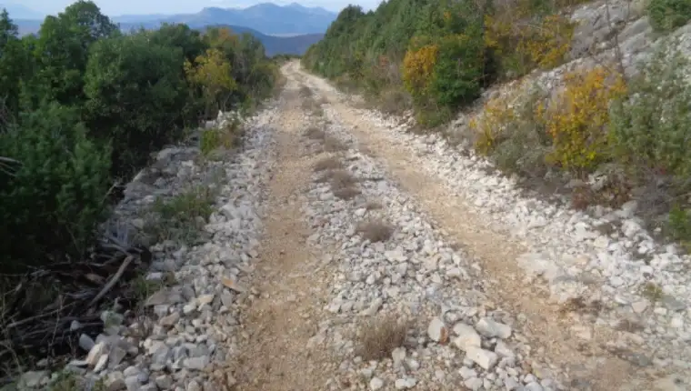 Cesta