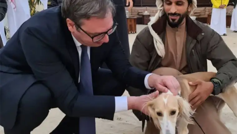 Vucic bahrein