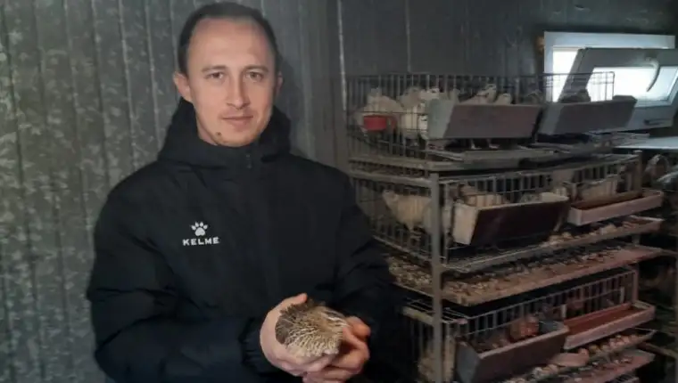 Adnan ibrahimovic prepelice