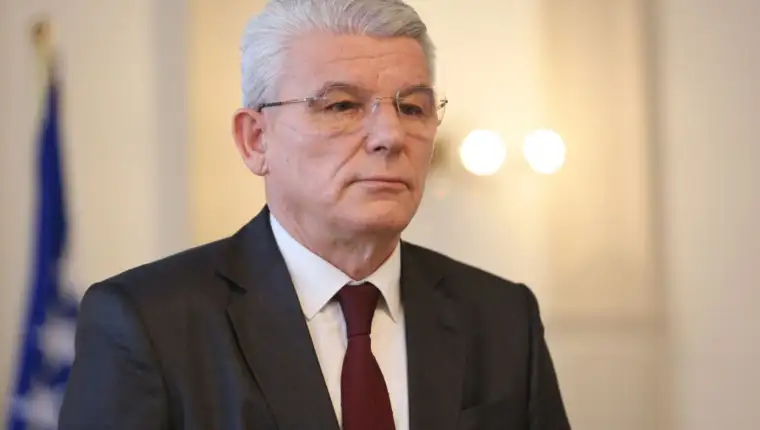 sefik dzaferovic fena2