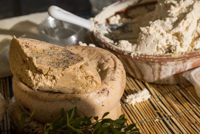 Casu marzu3