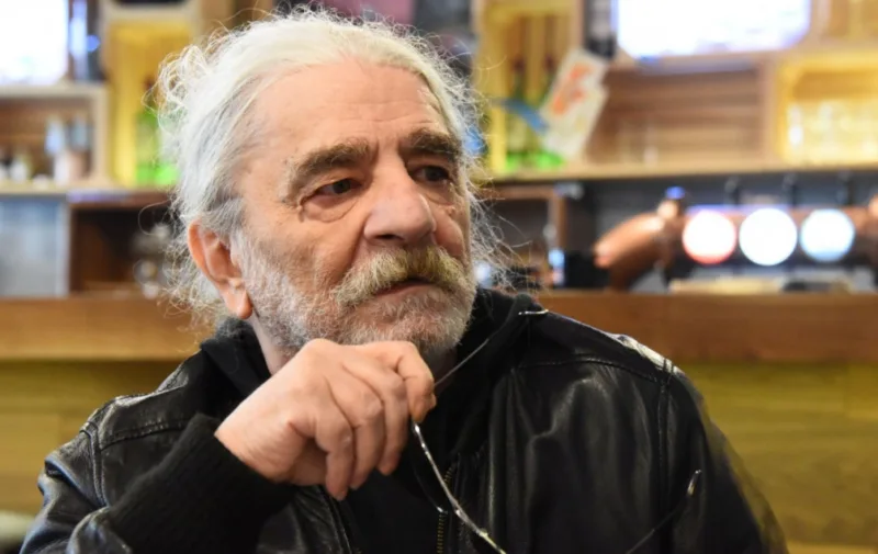 Nermin tulic