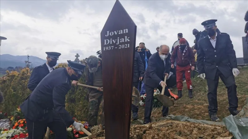 Divjak2