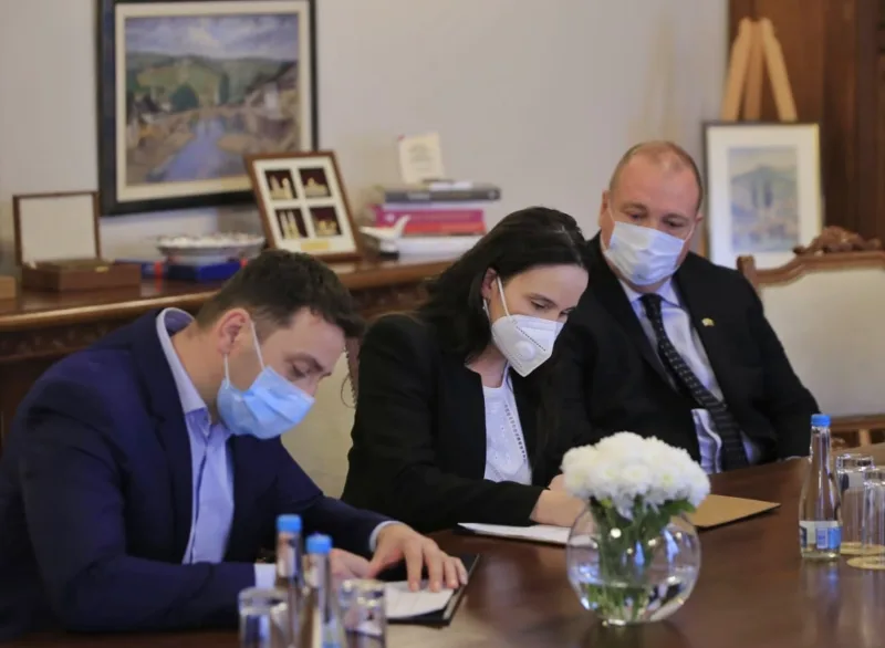 Karic kafedzic larson
