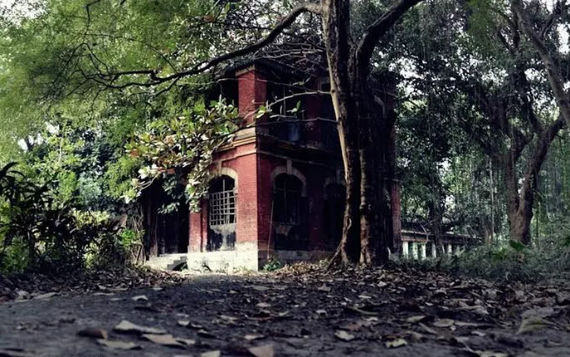 Kolkata duhovi