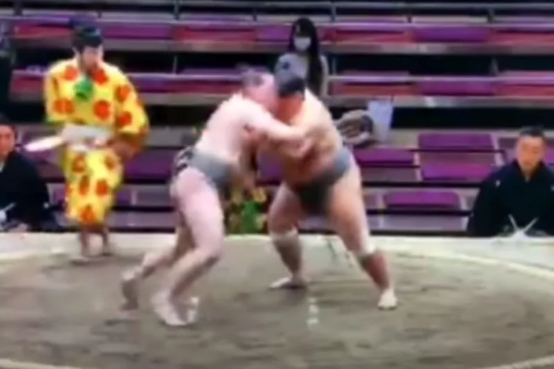 Sumo hrvac