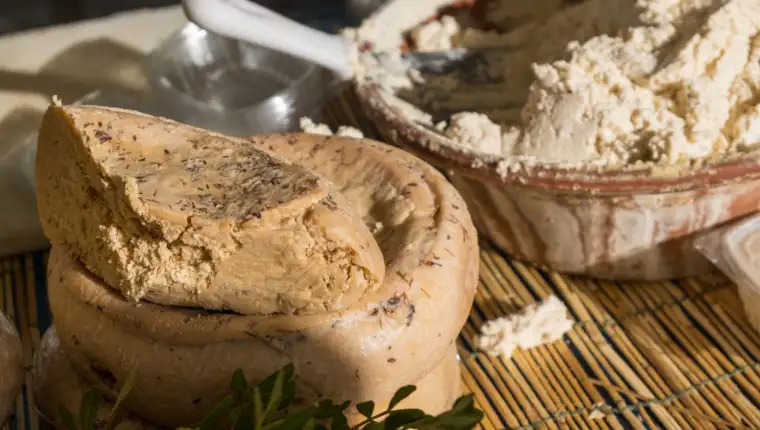 Casu marzu3