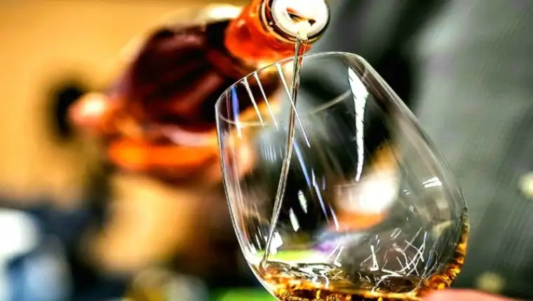 vino1