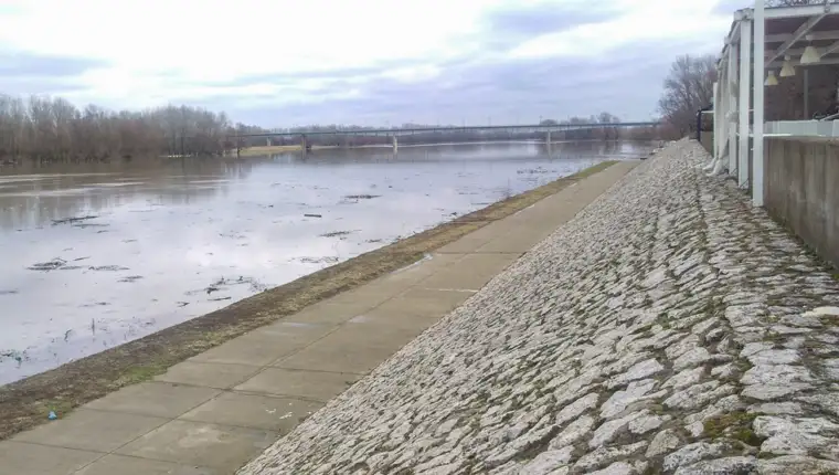Sava 040219
