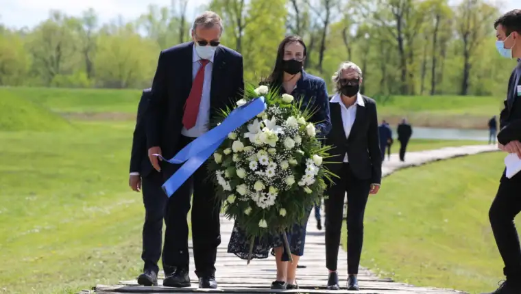 5 6
