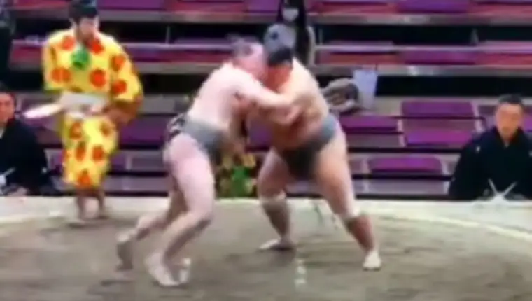 Sumo hrvac