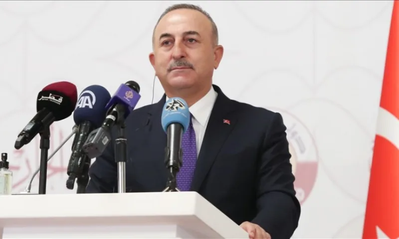 Cavusoglu