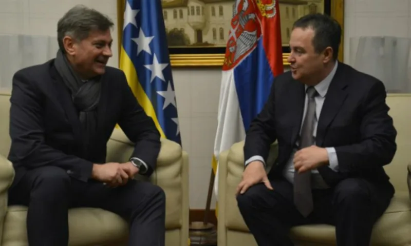 Zvizdic dacic