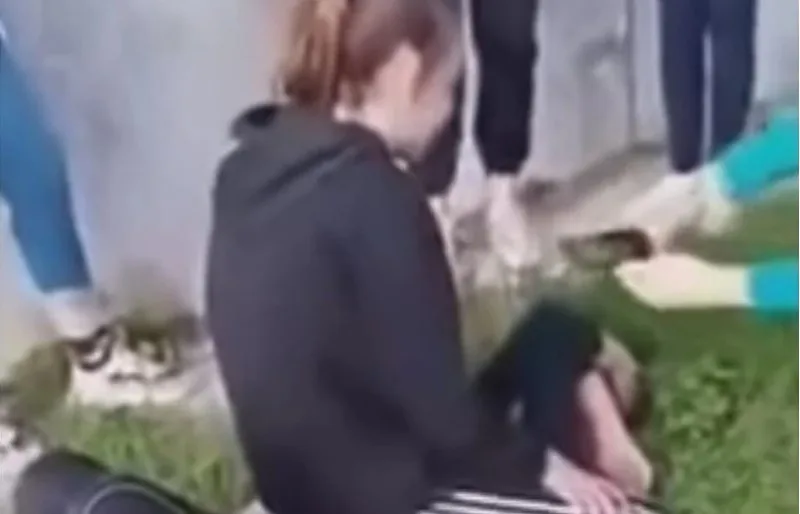 Jajce nasilje
