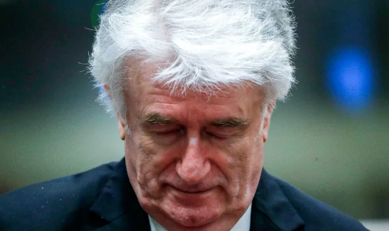 karadzic_epaaa