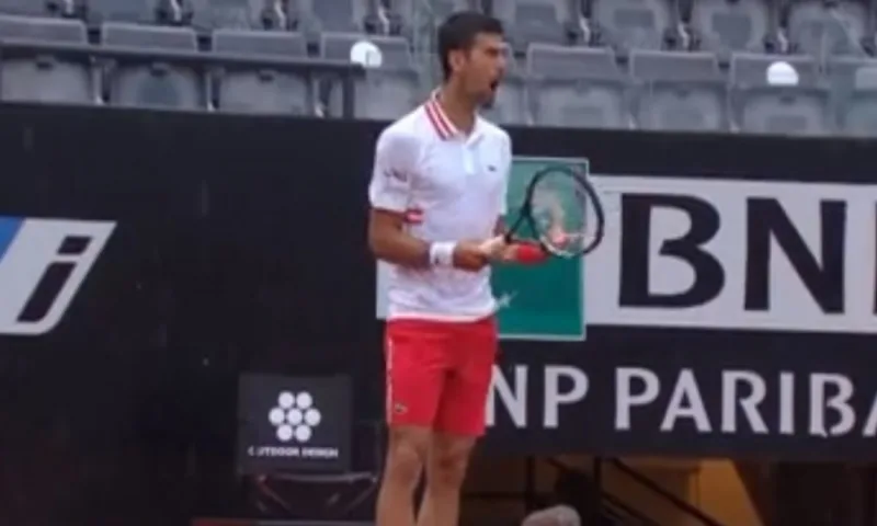 novak4