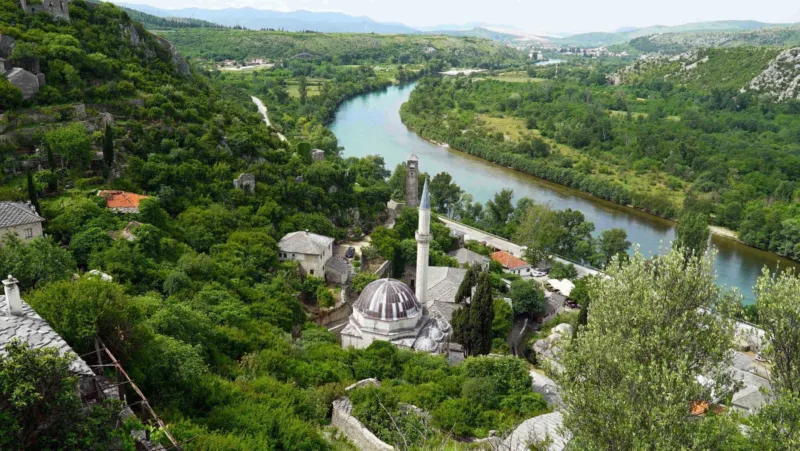 pocitelj fena