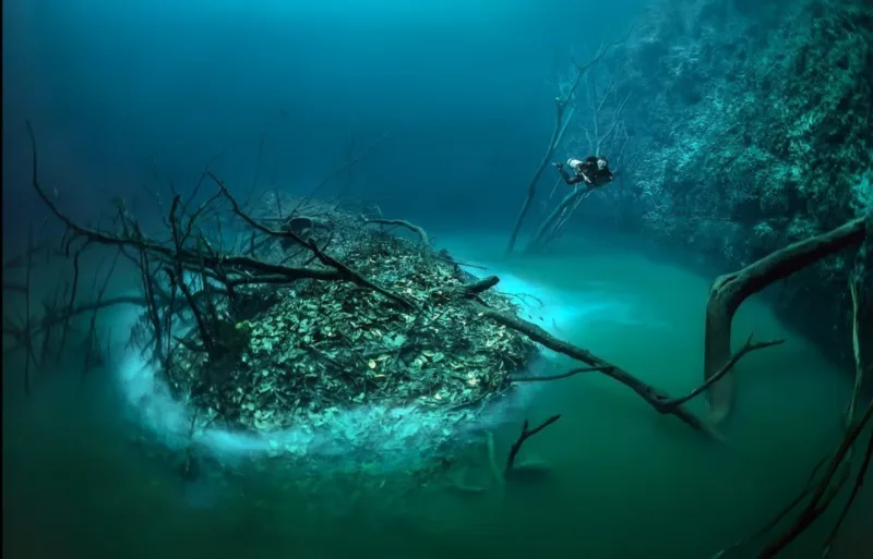 Cenote Angelita