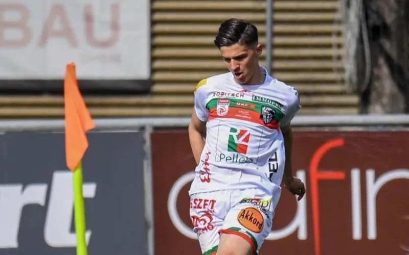tarik muharemovic
