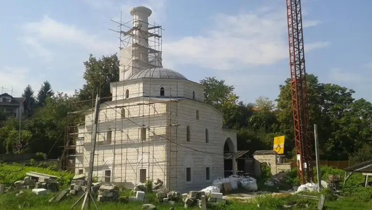 arnaudija