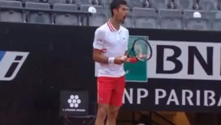 novak4
