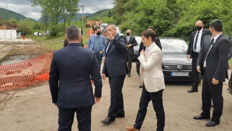 Buk bijela