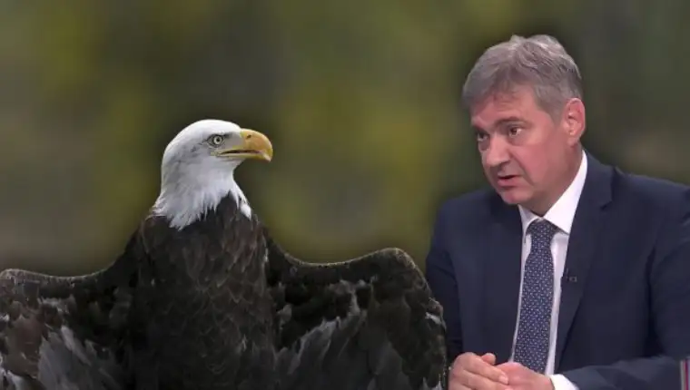 Orao zvizdic