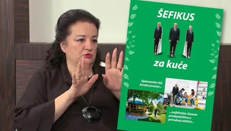 Cenic sefikus
