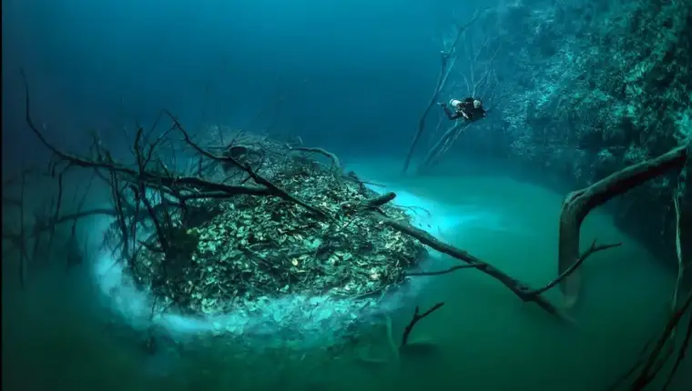 Cenote Angelita