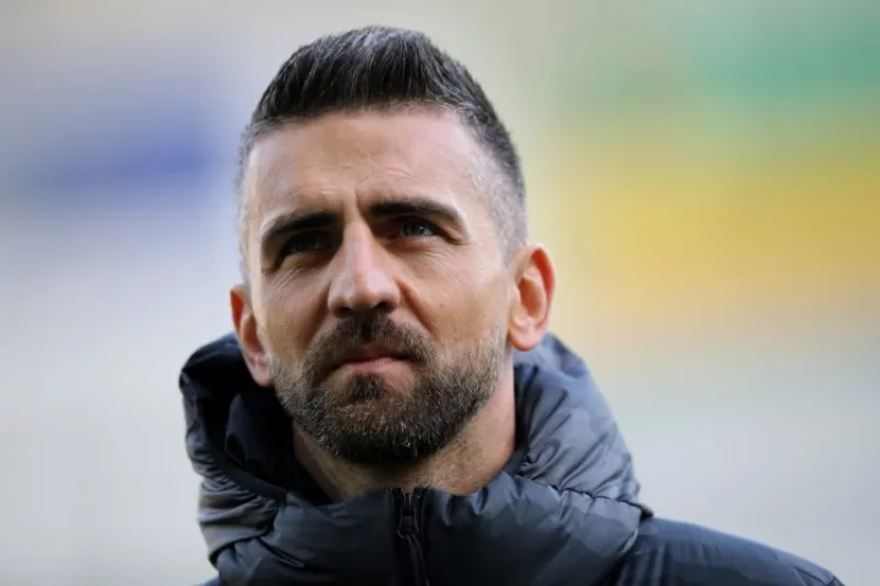 ibisevic