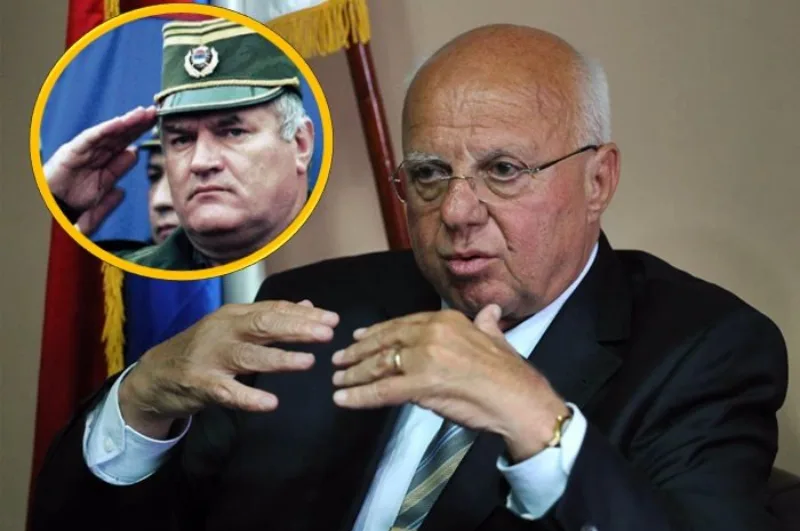 Advokat mladic