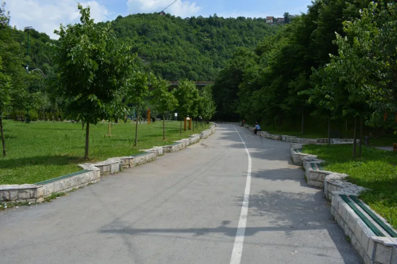 dariva rasvjeta